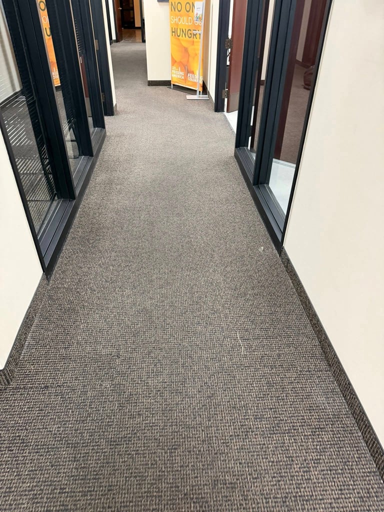 Long hallway with gray carpeted floor lined with black-framed glass doors and offices on either side