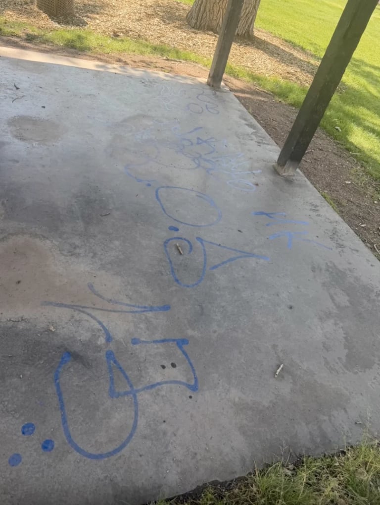 Concrete surface with blue graffiti markings near park with grass and wooden posts