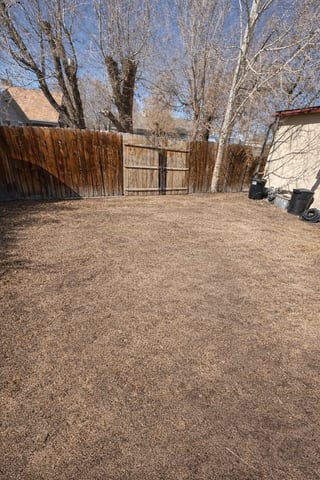 Backyard with wooden fence and gate, bare trees, dirt ground, and residential buildings in spring